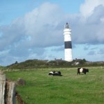 Leuchtturm von Keitum